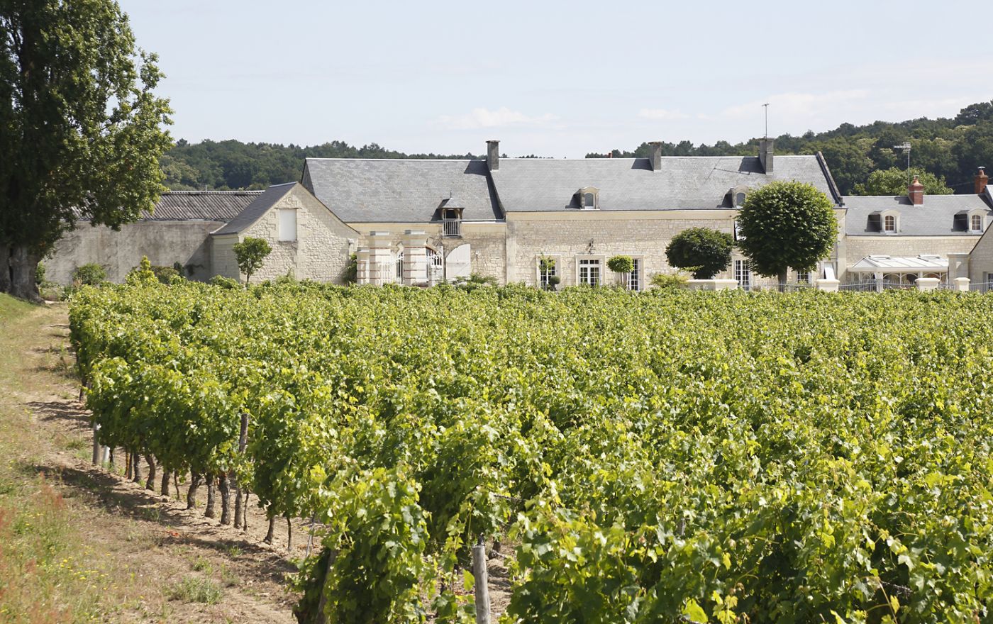 Des vins de Terroir